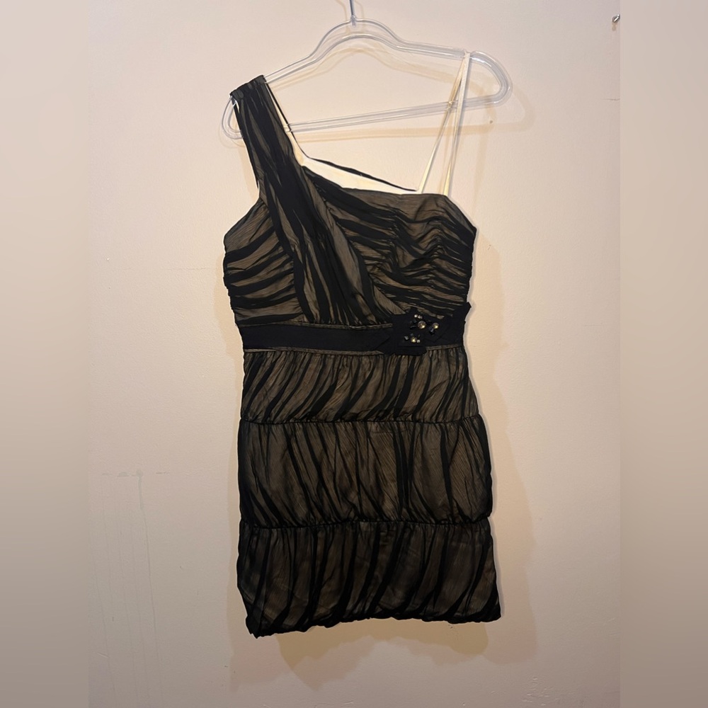 Maxandcleo Dress